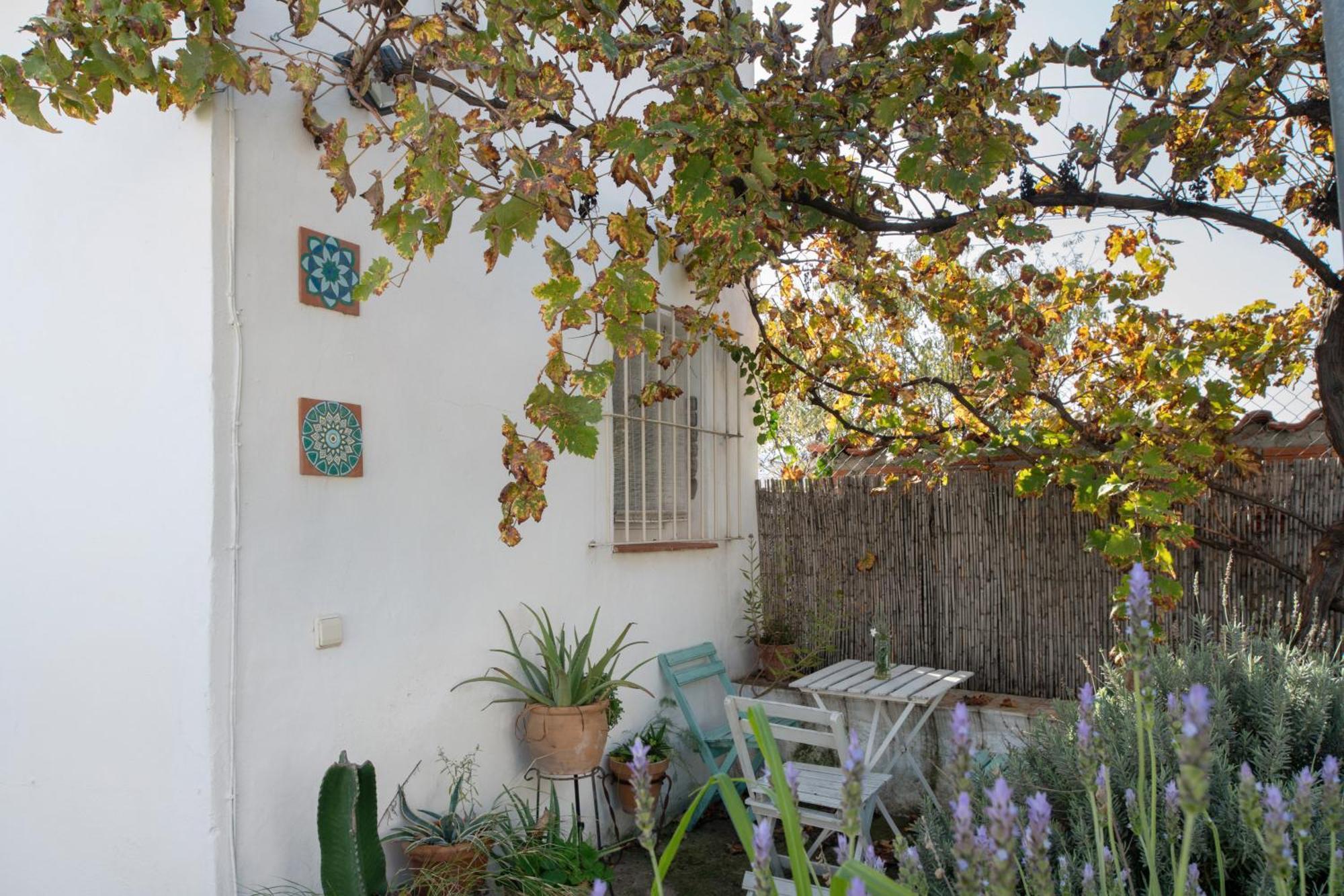 Casa Baraka Villa Algodonales Buitenkant foto